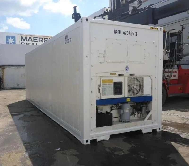 30 Feet Freezer Container Customized Mobile Cold Storage Cell for sale at Pauls Containers Ltd
